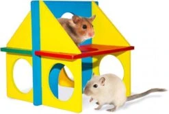 Duvo+ Diy Fun House Gemengde Kleuren 14x11cm