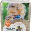 Duvo Kruidenhooi Paardenbloem Voor Knaagdieren 1KG -Duvo 885x1200