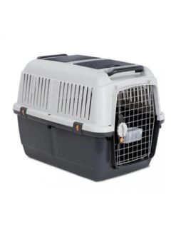 Duvo Bracco Iata Travel | Worldofanimals.nl Heeft Het!