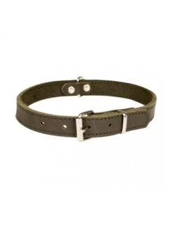 Duvo Classy Leder Halsband | Worldofanimals.nl Heeft Het!