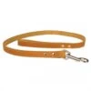 Duvo Classy Leder Leiband | Worldofanimals.nl Heeft Het! -Duvo classy leder leiband