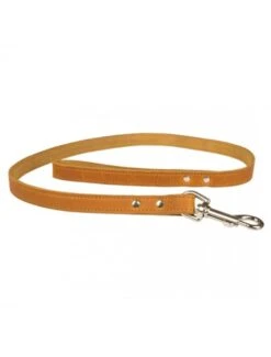 Duvo Classy Leder Leiband | Worldofanimals.nl Heeft Het!