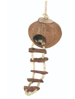 Duvo Coconut Huis Met Ladder En Touw | Worldofanimals.nl Heeft Het!