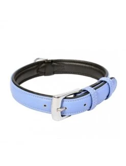 Duvo Comfy Leder Halsband | Worldofanimals.nl Heeft Het!