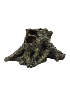 Duvo Decoratie Boomwortel | Worldofanimals.nl Heeft Het!