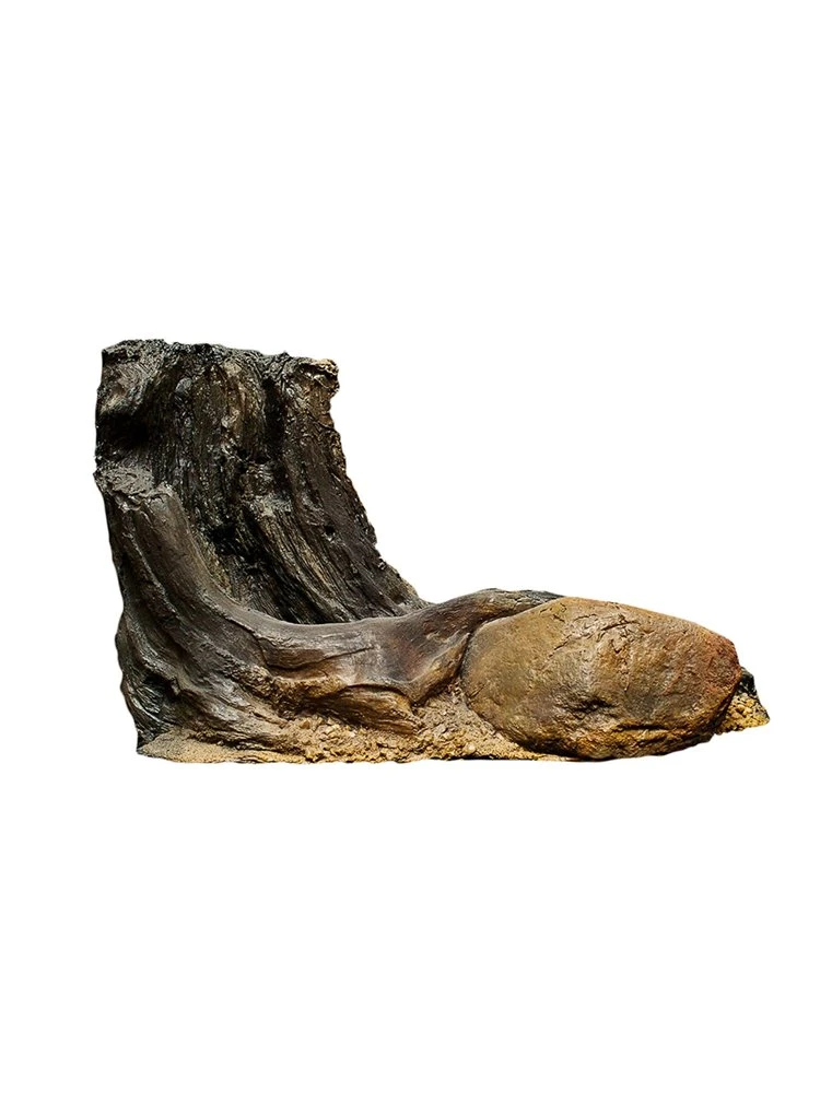 Duvo Ekol Root Kh-47 | Worldofanimals.nl Heeft Het! 3 Duvo Ekol Root Kh-47 | Worldofanimals.nl Heeft Het!