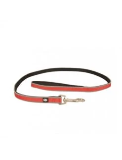 Duvo EXPLOR West Leiband Nylon S-M | Worldofanimals.nl Heeft Het!