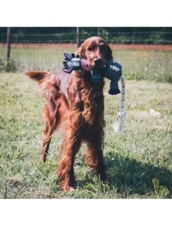 Duvo Farm Friends Donald Donkey 49cm -Duvo farm friends donald donkey 49cm 2