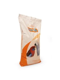 GROTE PARKIETEN KWEEK DUVO | Worldofanimals.nl Heeft Het!