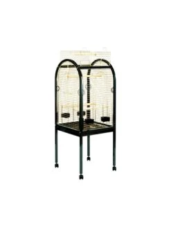 Duvo Junior Papegaaikooi | Worldofanimals.nl Heeft Het!