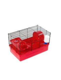 Duvo Kooi Aiko (Knockdown) | Worldofanimals.nl Heeft Het!