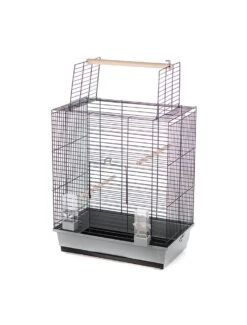 Duvo Kooi Ara | Worldofanimals.nl Heeft Het!