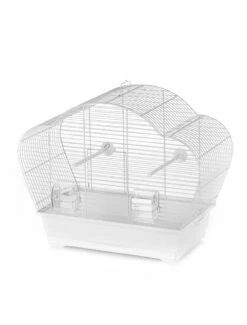 Duvo Kooi Beta | Worldofanimals.nl Heeft Het!