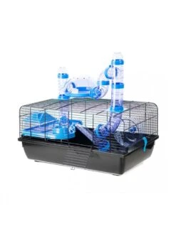 Duvo Kooi Jerry 1 Met Panorama | Worldofanimals.nl Heeft Het!