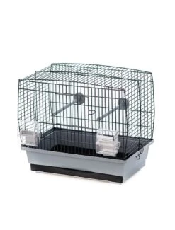 Duvo Kooi Natalia 1 | Worldofanimals.nl Heeft Het!