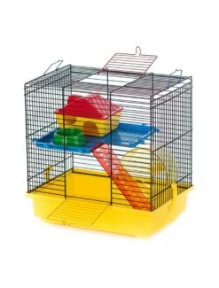 Duvo Kooi Teddy 1 Color | Worldofanimals.nl Heeft Het!