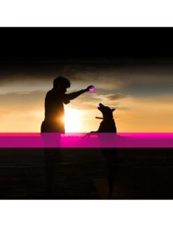 Duvo Led Flash Bal 10cm Fuchsia -Duvo led flash bal 10cm fuchsia 1