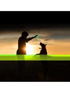 Duvo Led Flash Bal 10cm Groen -Duvo led flash bal 10cm groen 1