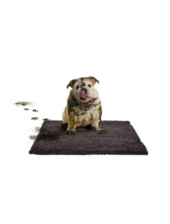 Duvo Magiclean Mat | Worldofanimals.nl Heeft Het!