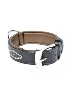Duvo Metal Leder Halsband Studs | Worldofanimals.nl Heeft Het!