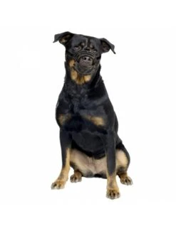 Duvo Muilkorf Rubber Xlarge Zwart/rood -Duvo muilkorf rubber xlarge zwart rood 4