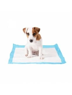 Duvo P-pad Large 30pcs L - 30pcs - 45x60cm