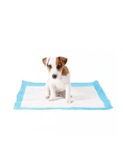 Duvo P-Pad X-Large Met Kleefstrip | Worldofanimals.nl Heeft Het!