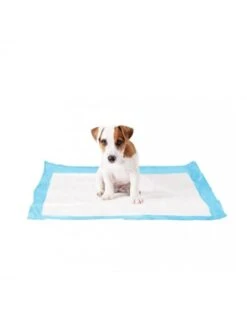 Duvo P-Pad XX-Large Met Kleefstrip | Worldofanimals.nl Heeft Het!