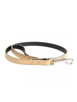 Duvo Popular Leder Leiband | Worldofanimals.nl Heeft Het!