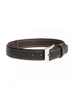 Duvo Trendy Leder Halsband | Worldofanimals.nl Heeft Het!