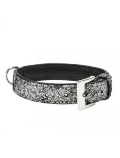 Duvo Trendy Leder Halsband | Worldofanimals.nl Heeft Het!